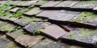 Teanford roof repair costs